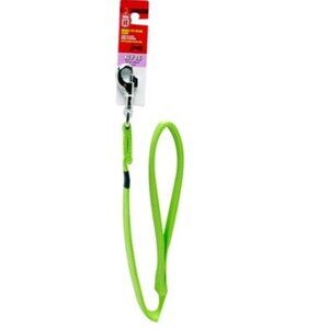NWT 4-foot Pet Leash, Lime Green